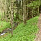 wandern Natur pur.JPG